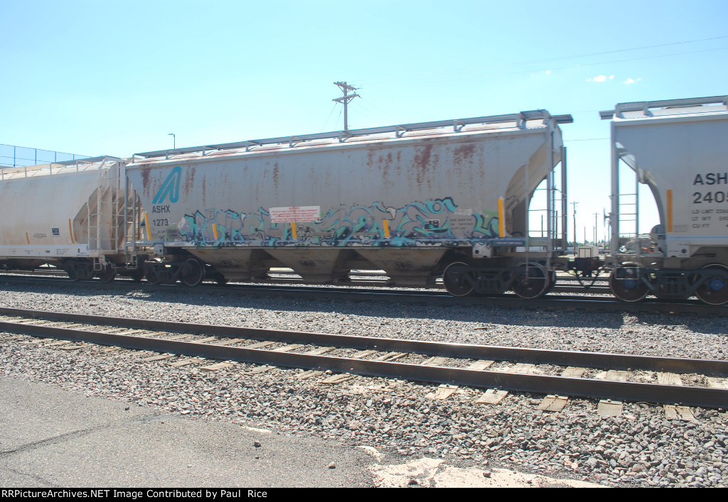 ASHX 1273